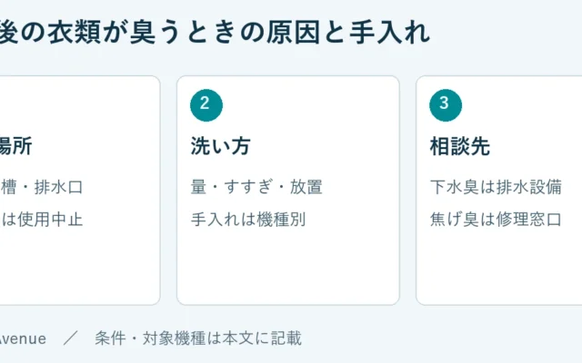 発生場所：衣類・槽・排水口、焦げ臭は使用中止。洗い方：量・すすぎ・放置、手入れは機種別。相談先：下水臭は排水設備、焦げ臭は修理窓口